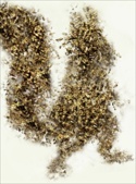 Фигура белочки из пчел